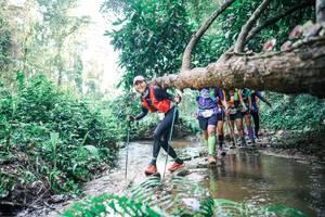 BIB: 
                            <button type="button" onclick="openModal(25459481)" class="btn btn-primary btn-sm float-right btn-popup" data-toggle="modal" data-target=".modal-high-quality">
                        <i class="fas fa-shopping-cart"></i> Add to Cart
                    </button>
                                            <button type="button" onclick="isThisMe(25459481, true)" class="btn btn-success btn-sm float-right btn-popup btn-isme hidden" data-toggle="tooltip" data-placement="bottom" title="นี่คือรูปของคุณใช่ไหม คลิกที่นี่เพื่อเอาเข้าอัลบั้ม">
                        <i class="fas fa-plus"></i> Add to album
                    </button>
                    <button type="button" onclick="isThisMe(25459481, false)" class="btn btn-warning btn-sm float-right btn-popup btn-isnotme hidden">
                        <i class="fas fa-ban"></i> Remove from album
                    </button>